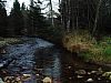 DSC05834.jpg